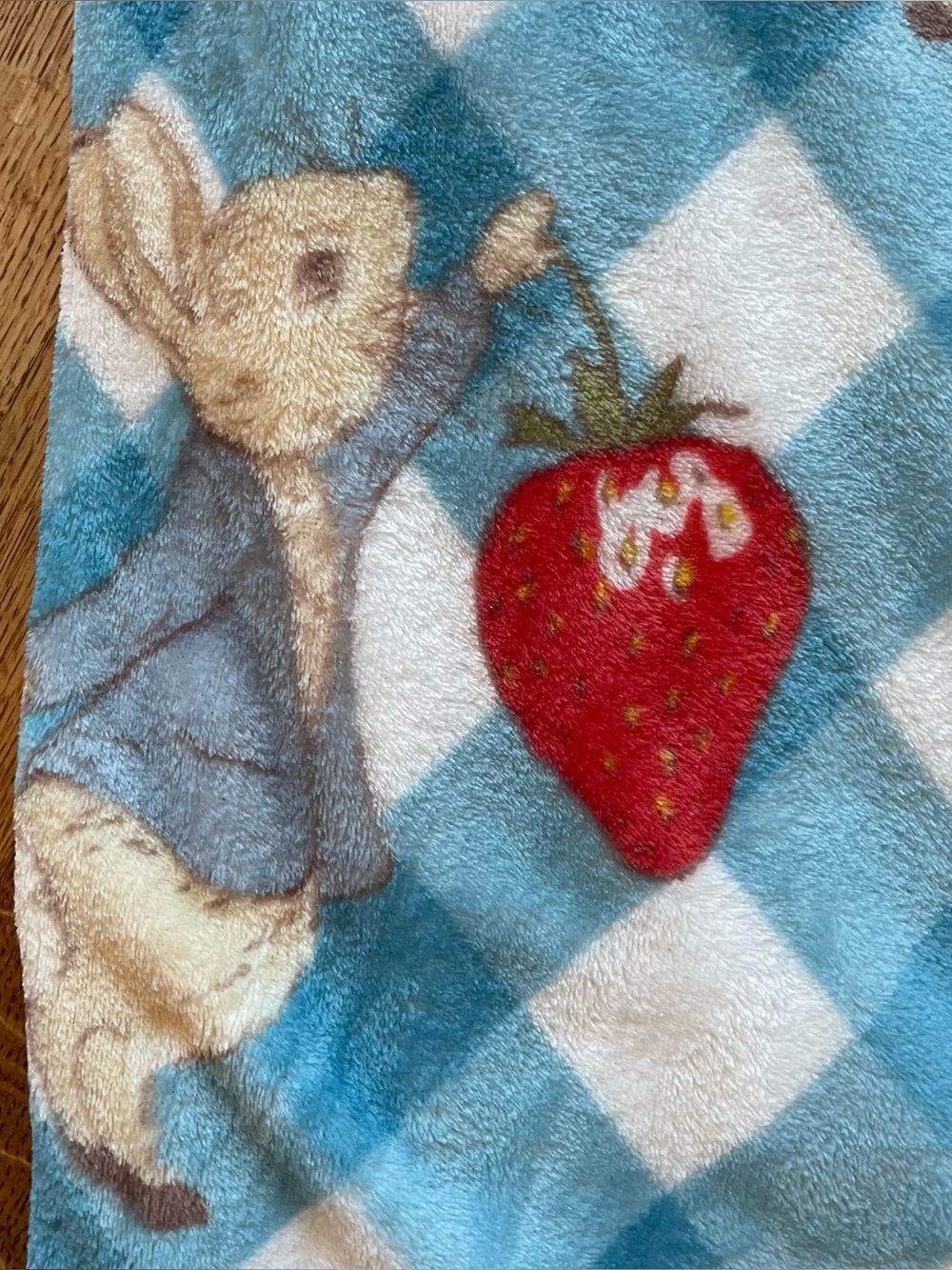 Peter Rabbit Beatrix Potter Strawberry Soft Plush Throw Blanket 50x70 Blue White - Picture 4 of 13